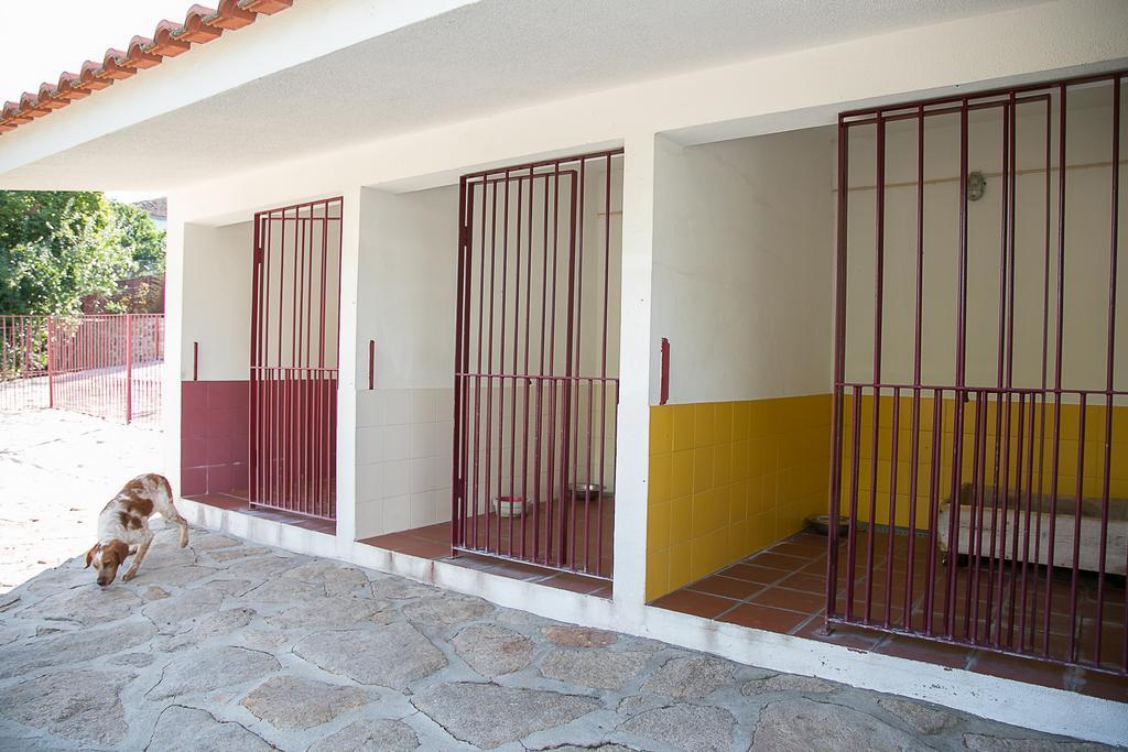 Solar Dos Almeidas - Turismo De Habitacao Bed & Breakfast Trancoso Exterior foto